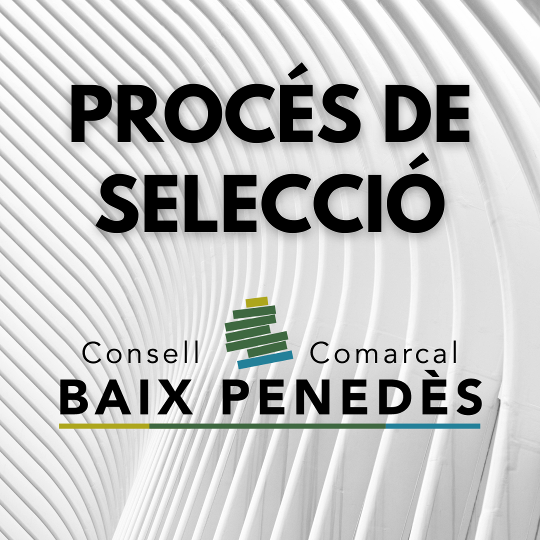 Procés de selecció