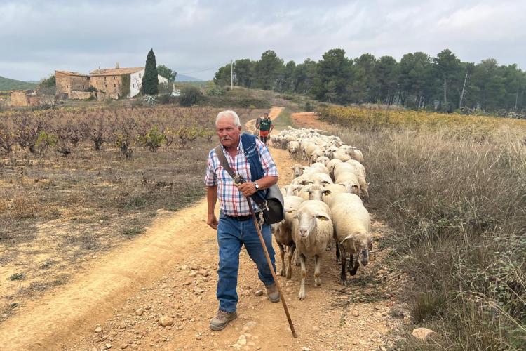 Salvador, el pastor que guiarà les ovelles.