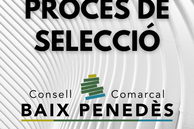 Procés de selecció